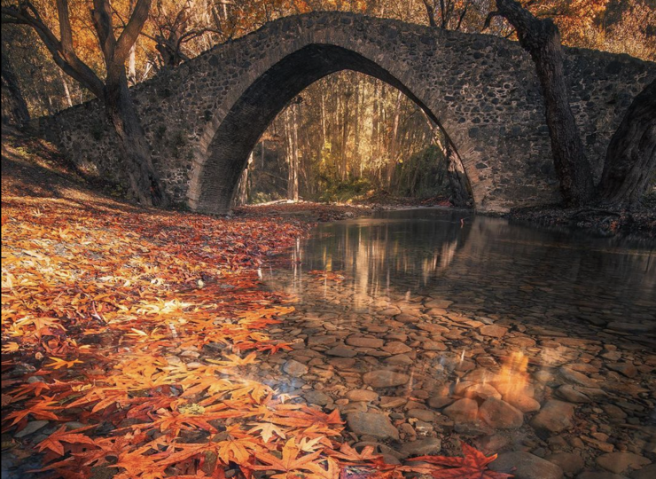 Winter Bliss in Troodos: A Symphony of Colors, Tastes, and Tranquility